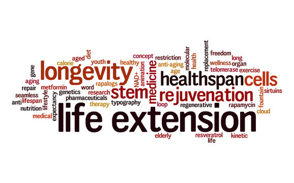 Life extension word cloud. Typography.