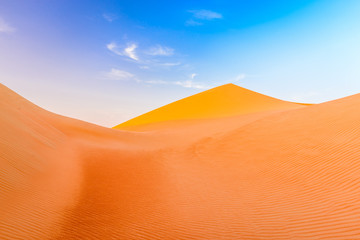 sand dunes in the desert