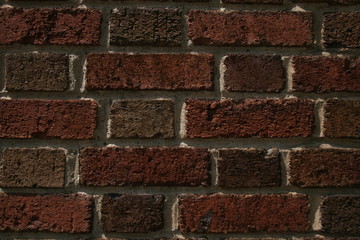 Brick wall texture