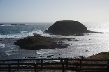 The Nobbies Boardwalk