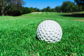 Golf ball on grass in the golf court ready to play.Morning sunshine with fresh feeling.