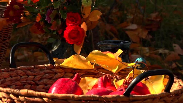 Ripe red pomegranates in vintage basket on garden table during fall autumn thanksgiving. pan right