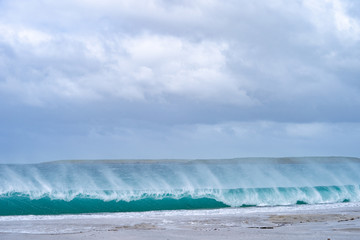 ペンギン ブリーカー島 フォークランド諸島 Bleaker Island