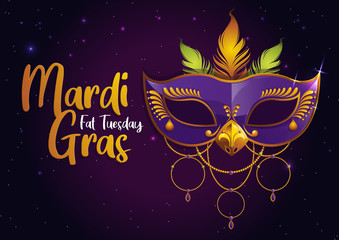 Mardi Gras, Carnival Party with Purple Feather Mask,  gretting card banner, poster,  template, Flyer & brochure On background sparkling stars, vector illustration, EPS10.