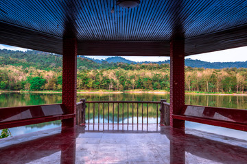 Natural blur background, wide angle of various species of trees along the reservoir, forest system integrity