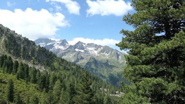 Aerial view over Gerlostal valley in high taunern mountain range. Pine tree forest and snowy peaks.