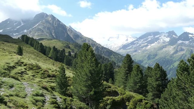 Landscape of Gerlostal valley in high taunern mountain range. Pine tree forest and snowy peaks.