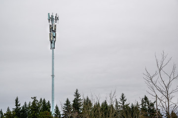 Mobile communications tower, panel antennas, tops of evergreen trees, gray stormy day
