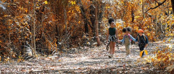 diverse people of african american children having fun walking together in autumn forest