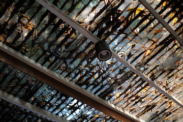 Transparent ceiling roof filled with falling leaves