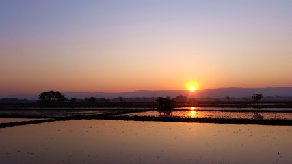 Fototapeta premium Natural view, Sunrise in the morning at Chaing Rai Thailand.