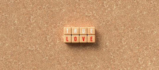 cubes with the words TRUE LOVE on cork background