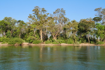 Forest and green plant on the beach of the island in the Mekong River at Stung Treng in Cambodia, Trees and blue sky reflecting on the water surface