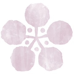 梅　白梅　紫色　手描き風　水彩風イラスト素材