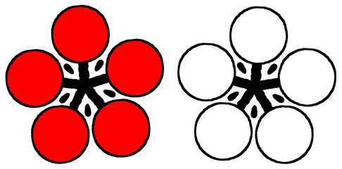 梅　紅白　シンプル