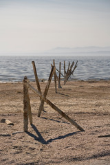Rotting posts on the shore of the Salton Sea