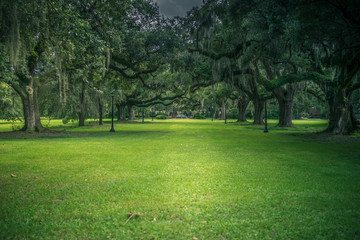 Fototapeta na wymiar New Orleans Audoban park