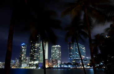 city at night with palms