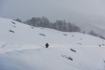Naklejka na ściany i meble Winter in the forest in the Ukrainian Carpathian Mountains