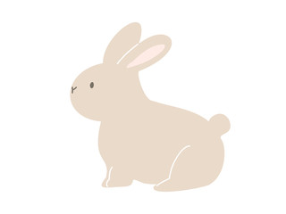 Obraz premium dziki królik