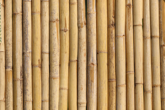 Bamboo trunk background and texture
