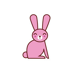 cute rabbit animal comic character