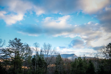 Obraz premium trees and sky