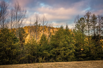 Fototapeta premium autumn in the mountains