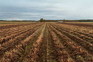 Cloudy Skies Over Autumn Fields