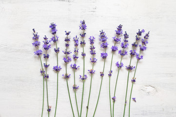 Lavender flowers on rustic white wood