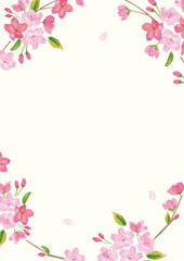 桜　水彩　背景イラスト