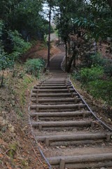 step walkway in a nature park. wood log and compact dirt soil footpath landscape architecture design. walk up the hill on dirt step. forest bathing activity for mental relaxation.