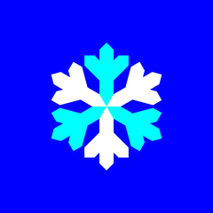Blue and white snowflake symbol vector on blue background.
