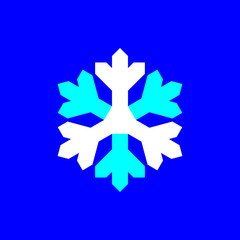 Blue and white snowflake symbol vector on blue background.