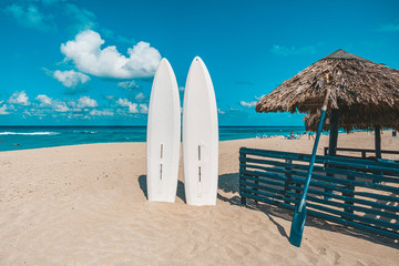 Stand up paddle long boards surfboard stuck in sand on Beach. standup paddleboarding are at sea....