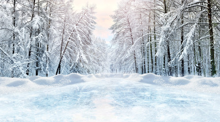 Winter panoramic frosty landscape on the shore of a frozen lake