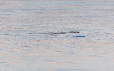 Ice on the lake in the morning as a background