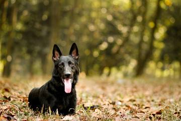 enjoying sunshine on a beautifull day