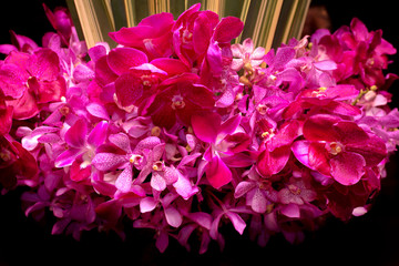 Orchids decoration