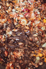 Onion husk banana peel in trash can