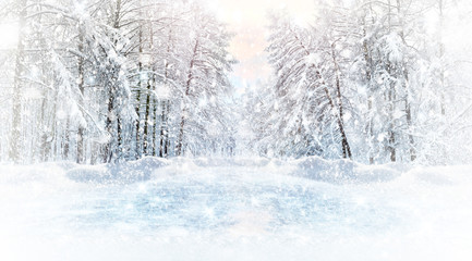 Winter panoramic frosty landscape on the shore of a frozen lake. Snowfall concept