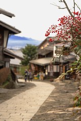 古い町並みを背景に赤いナンテンの縦長写真／Magome-juku is an old town in Gifu Prefecture, Japan.