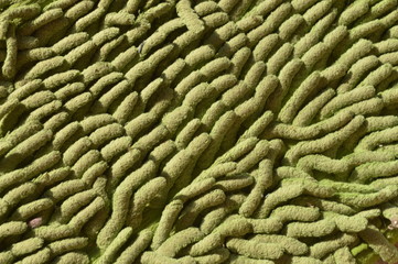 The abstract of the pattern of the cement foundation