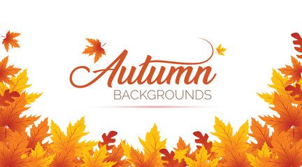 Autumn Background, Autumn leaves Background, Autumn Banner Backgrounds
