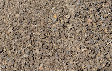 dry, fine fertilizer from a cow