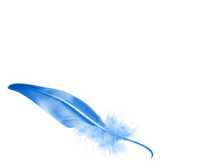 Beautiful color feather isolated on white background