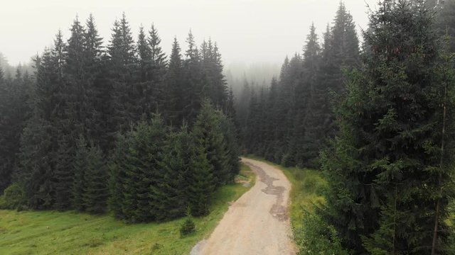 Road through forest in foggy morning. Scenic landscape of the countryside mountains.