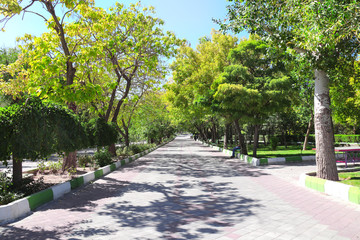 Alley in Elgoli Park,Tabriz, Iran