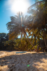 Cocalito beach in Punta de Sal and a local boat under a palm tree, Tela. Honduras