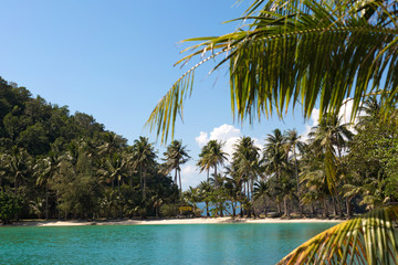 Tropical island on the sea beach with coconut palm trees.